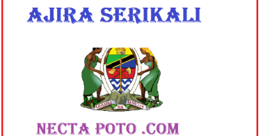 Nafasi za Ajira Serikalini, UTUMISHI PSRS Vacancies – July 2024