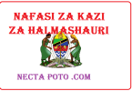 Nafasi za Kazi katika Halmashauri Mbalimbali - Daily Updates