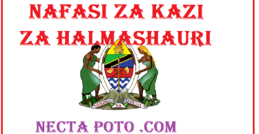 Nafasi za Kazi katika Halmashauri Mbalimbali - Daily Updates