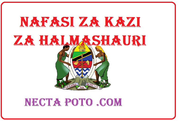 Nafasi za Kazi katika Halmashauri Mbalimbali - Daily Updates